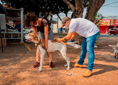 Vacinação antirrábica de cães e gatos acontece no sábado em 13 pontos de Jardim