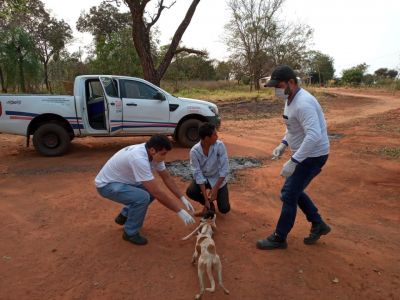 Equipes do setor de zoonoses fazem campanha antirrábica na área rural de Jardim